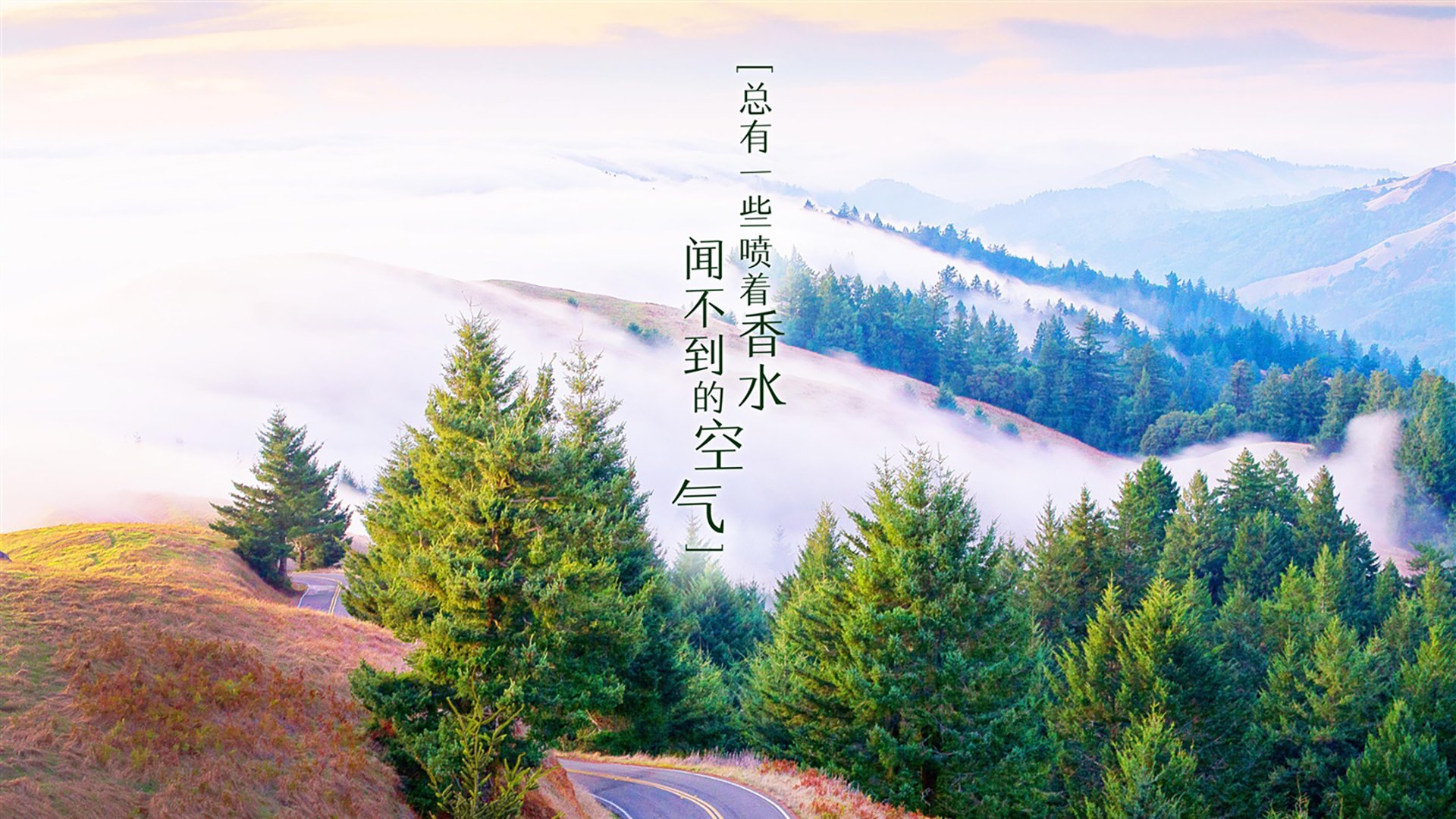 2026 赛季足球裁判的“平均误判率”报告：高精尖技术带来的质变。
