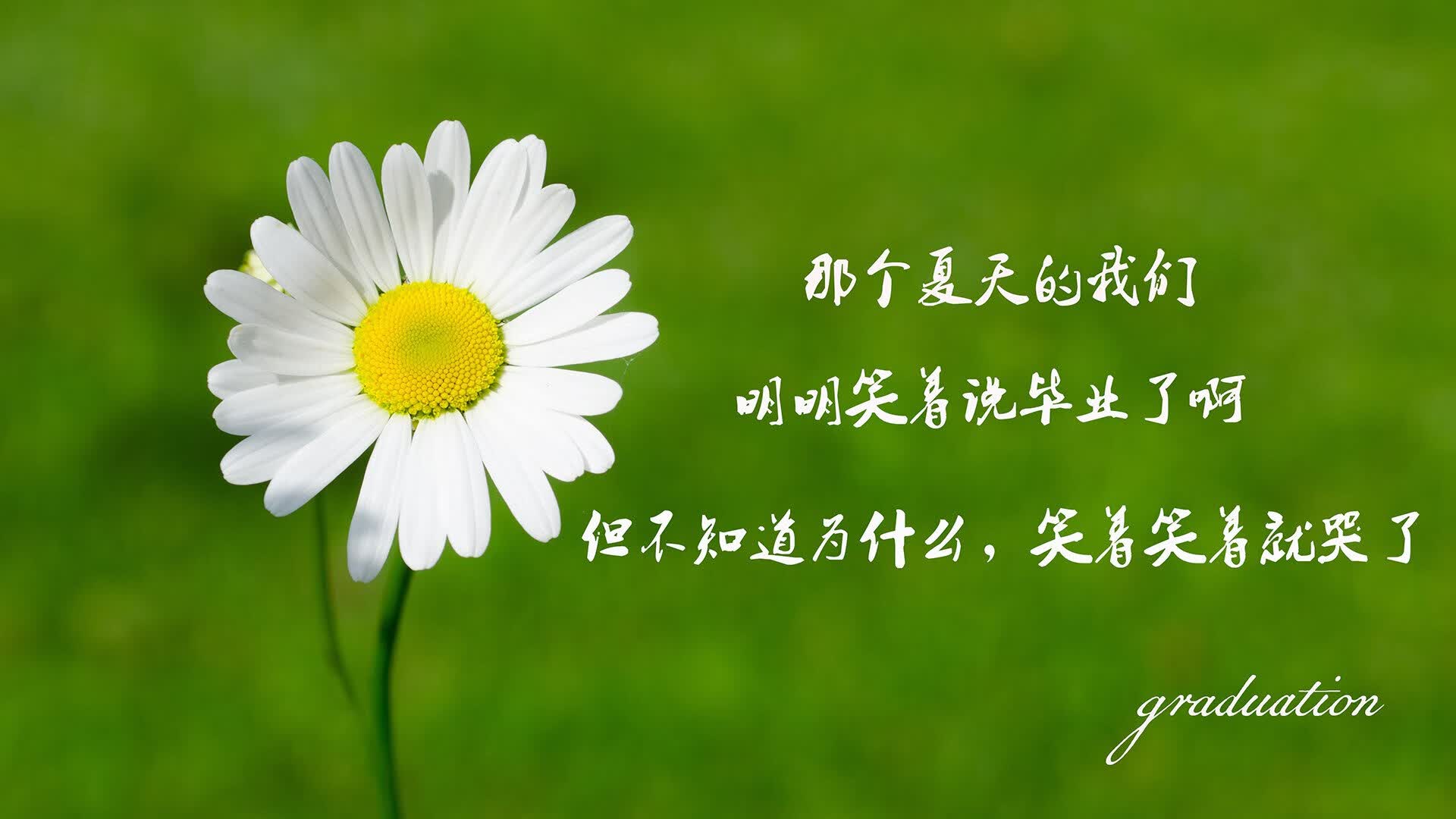 世界举重锦标赛：技术动作标准化助力国际交流，世界举重锦标赛冠军